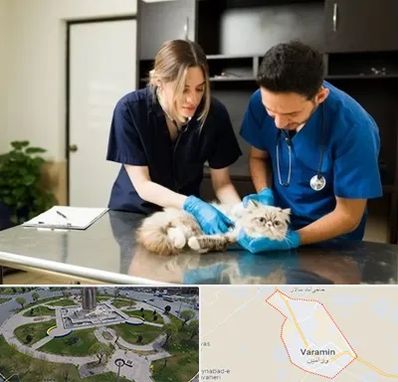 دامپزشکی سیار در ورامین