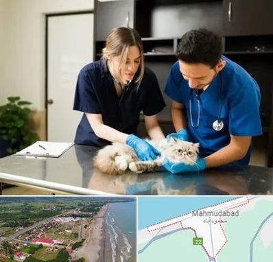 دامپزشکی سیار در محمودآباد