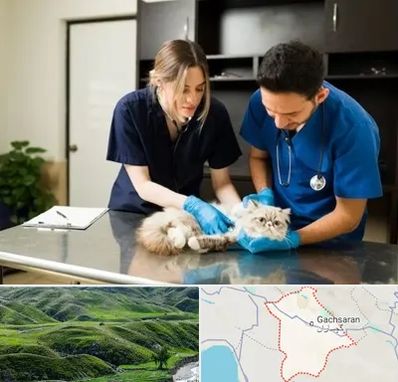 دامپزشکی سیار در گچساران