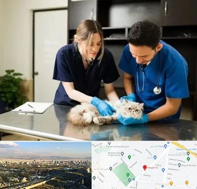 دامپزشکی سیار در هنگام 