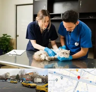 دامپزشکی سیار در شهناز تبریز