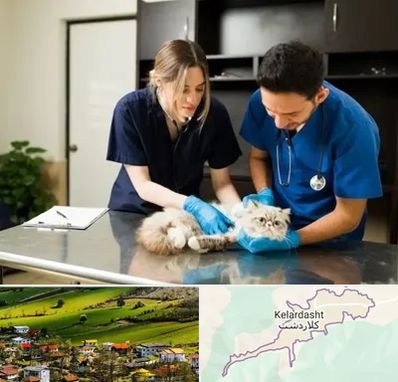 دامپزشکی سیار در کلاردشت