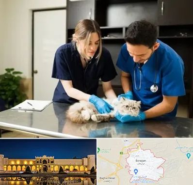 دامپزشکی سیار در برازجان