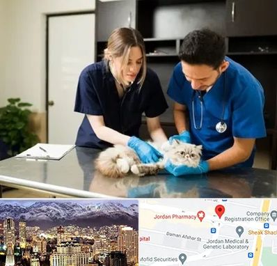 دامپزشکی سیار در جردن 