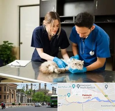 دامپزشکی سیار در پاکدشت