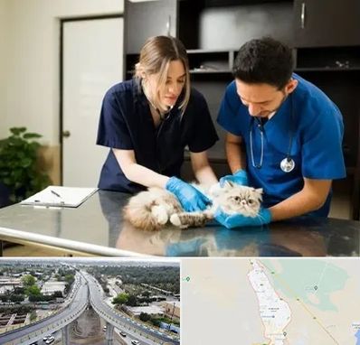 دامپزشکی سیار در اندیمشک