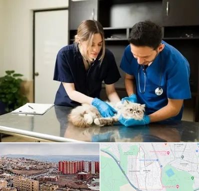 دامپزشکی سیار در سهند تبریز