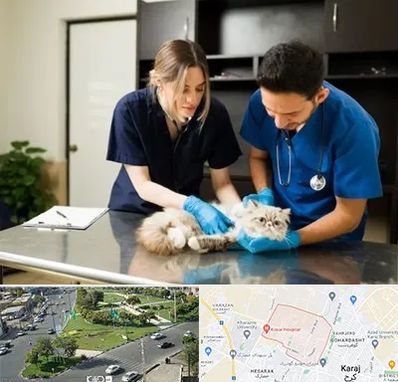 دامپزشکی سیار در شاهین ویلا کرج