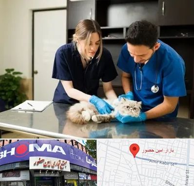 دامپزشکی سیار در امین حضور