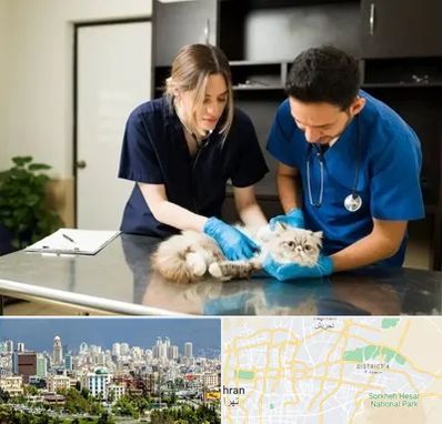 دامپزشکی سیار در شرق تهران 