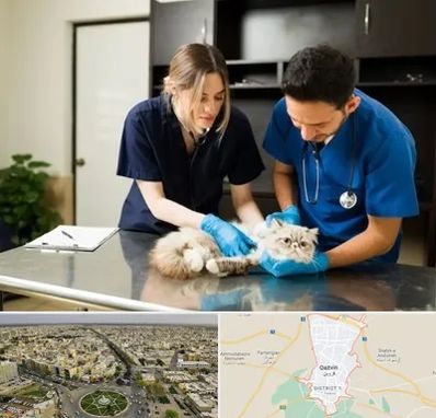 دامپزشکی سیار در قزوین