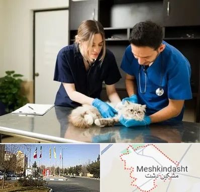 دامپزشکی سیار در مشکین دشت