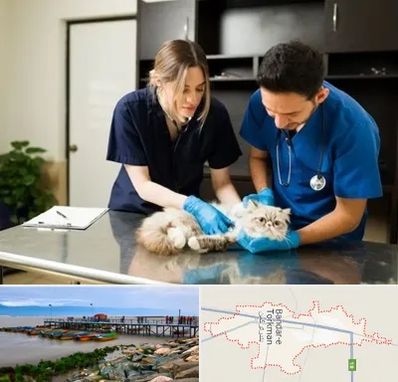 دامپزشکی سیار در بندر ترکمن