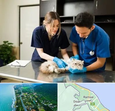 دامپزشکی سیار در رامسر