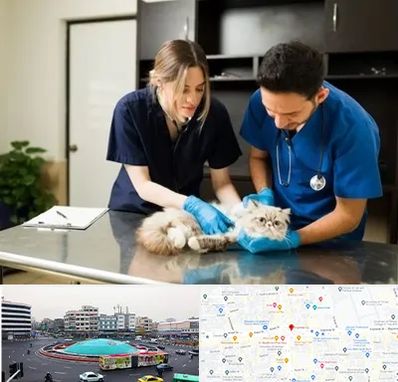 دامپزشکی سیار در میدان انقلاب 