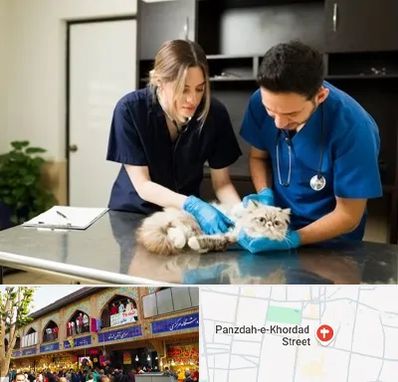 دامپزشکی سیار در 15 خرداد