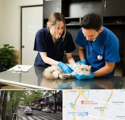 دامپزشکی سیار در ظفر 