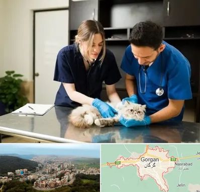 دامپزشکی سیار در گرگان