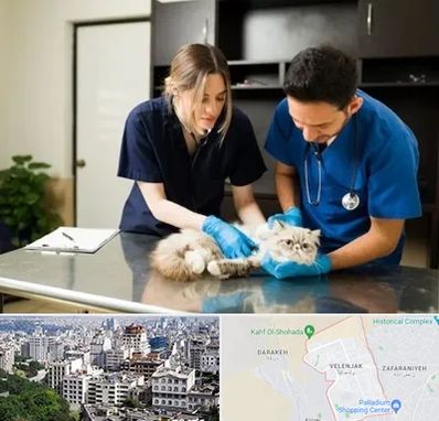 دامپزشکی سیار در ولنجک 