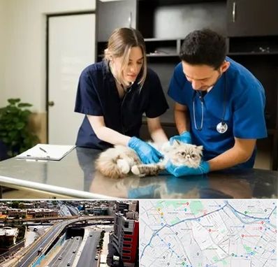 دامپزشکی سیار در ستارخان شیراز