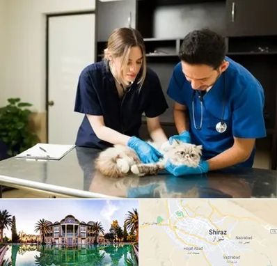 دامپزشکی سیار در شیراز