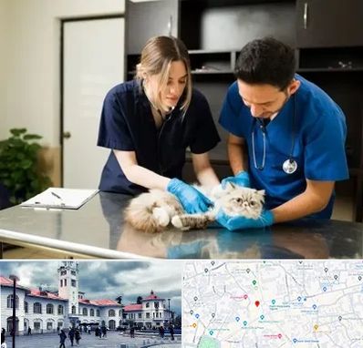 دامپزشکی سیار در میدان شهرداری رشت