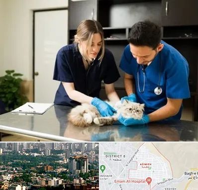 دامپزشکی سیار در عظیمیه کرج 