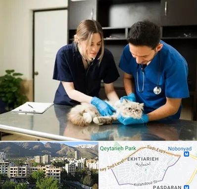 دامپزشکی سیار در اختیاریه 