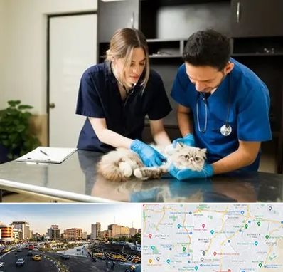 دامپزشکی سیار در منطقه 7 تهران 