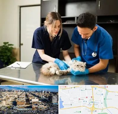 دامپزشکی سیار در شهرک راه آهن 