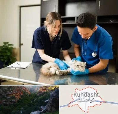 دامپزشکی سیار در کوهدشت