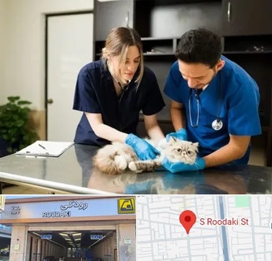 دامپزشکی سیار در رودکی