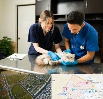 دامپزشکی سیار در الهیه مشهد