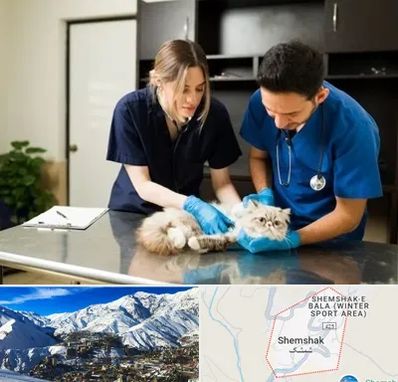 دامپزشکی سیار در شمشک