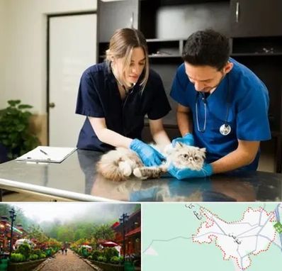دامپزشکی سیار در فومن