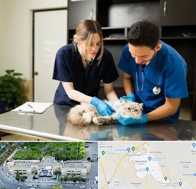 دامپزشکی سیار در نسیم شهر