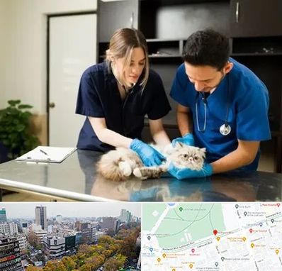 دامپزشکی سیار در بلوار کشاورز 