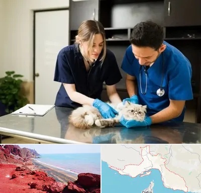 دامپزشکی سیار در هرمزگان