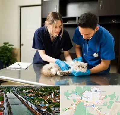 دامپزشکی سیار در مراغه