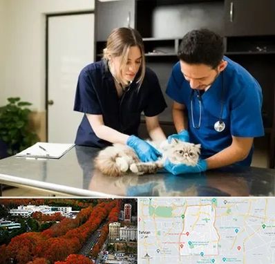 دامپزشکی سیار در منطقه 6 تهران 