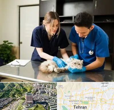 دامپزشکی سیار در شمال تهران 