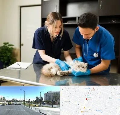 دامپزشکی سیار در بلوار کلاهدوز مشهد 