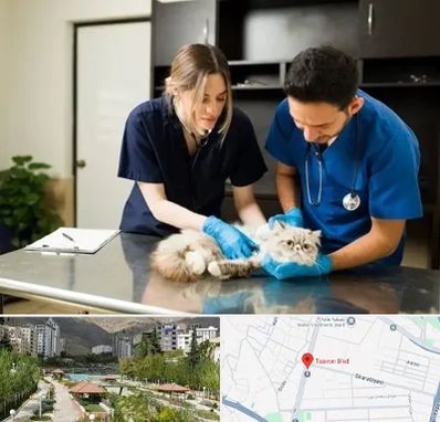 دامپزشکی سیار در بلوار تعاون