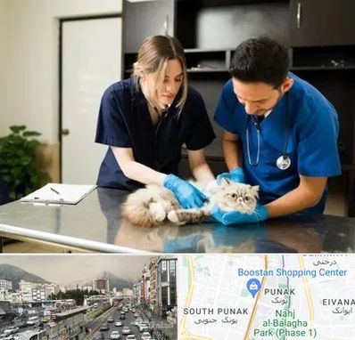 دامپزشکی سیار در پونک 