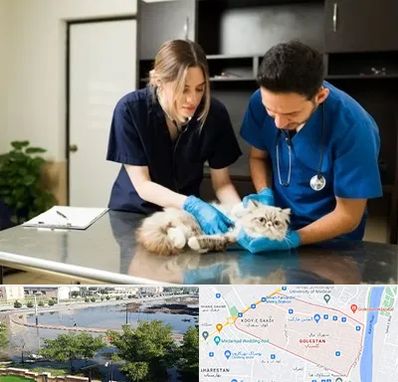 دامپزشکی سیار در گلستان اهواز