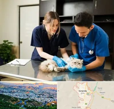 دامپزشکی سیار در سنندج