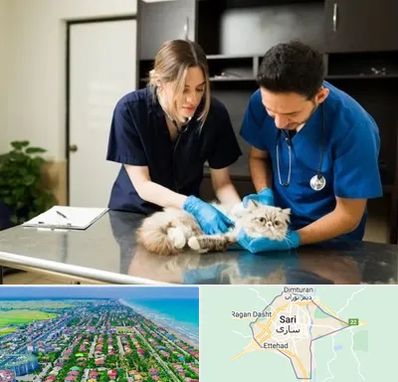 دامپزشکی سیار در ساری