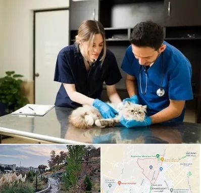 دامپزشکی سیار در باغستان کرج