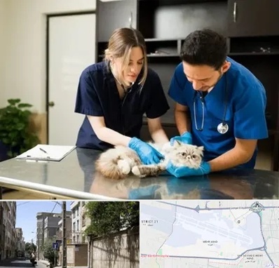 دامپزشکی سیار در مهرآباد