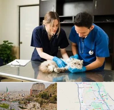 دامپزشکی سیار در فرهنگ شهر شیراز